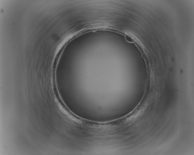 X0000076330941200610061432