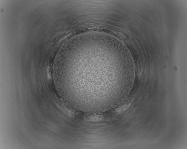 X0000076330962200610061431