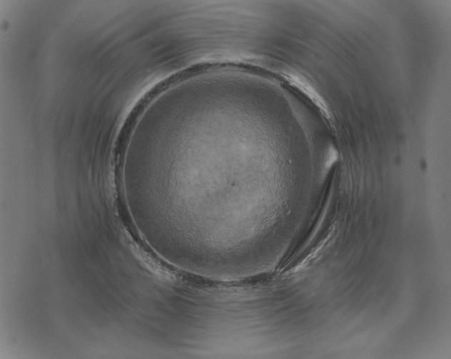 X0000076330976200610061431