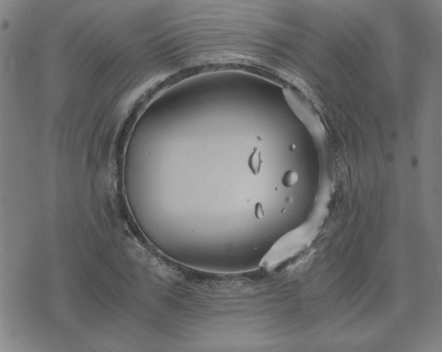 X0000076330979200610061431