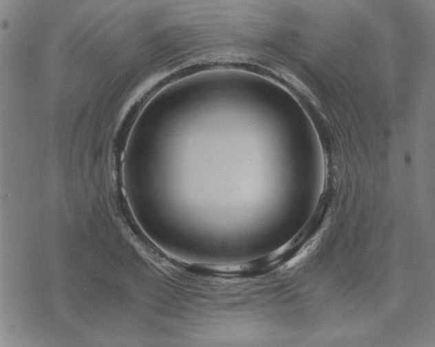 X0000076330981200610061431