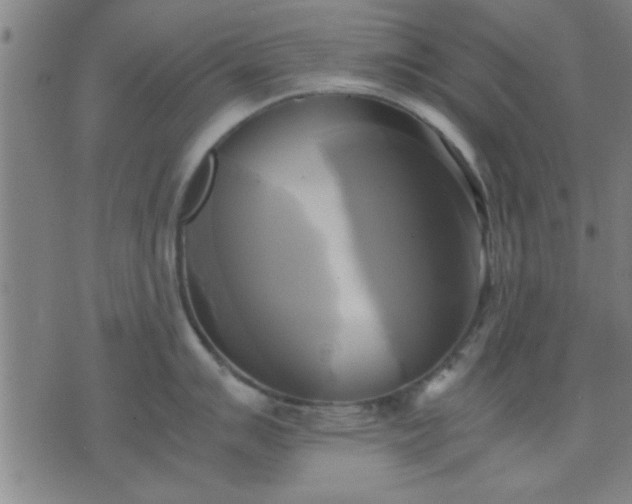 X0000076331007200610061431