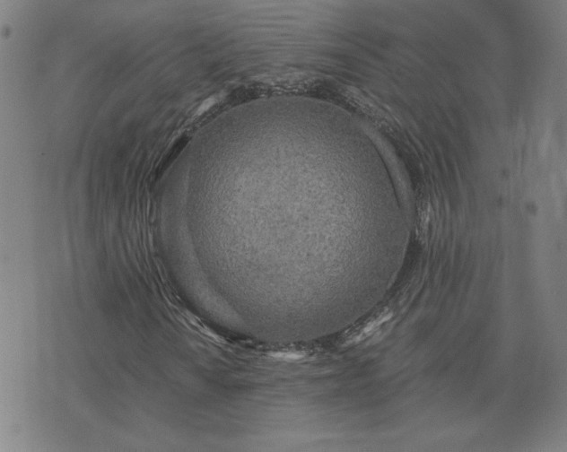 X0000076331010200610061430