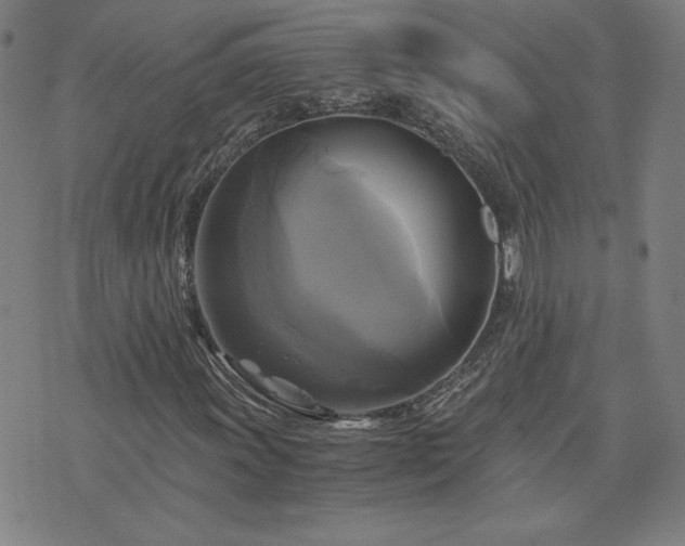 X0000076331011200610061430