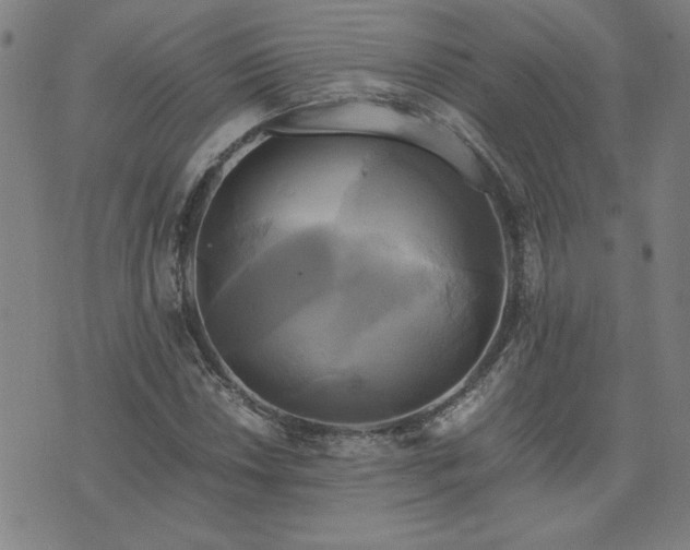 X0000076331018200610061430