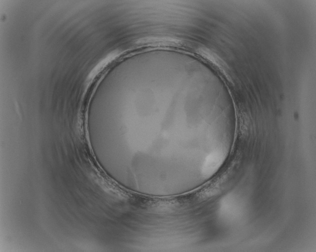 X0000076331074200610061430