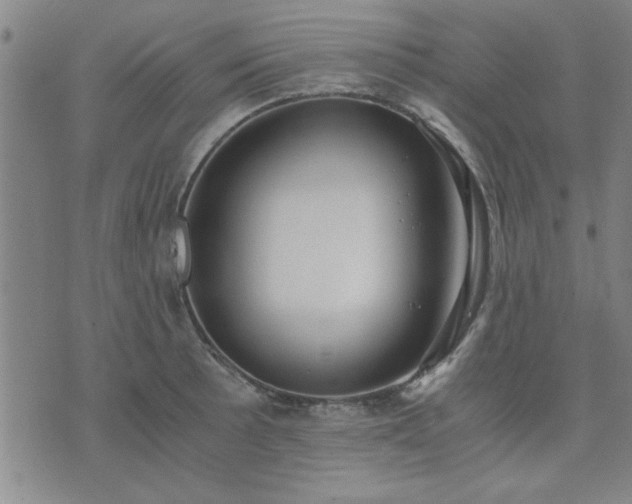 X0000076331089200610061429