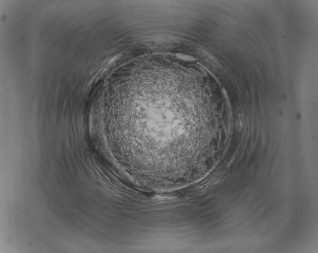 X0000076331108200610061428