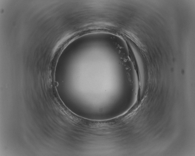 X0000076331164200610061428