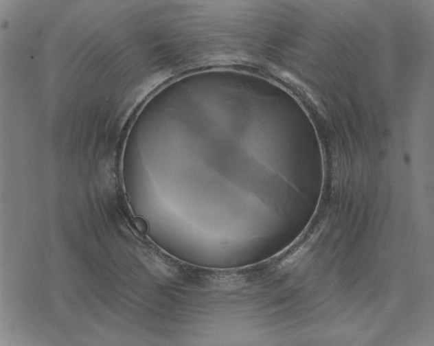 X0000076331170200610061428