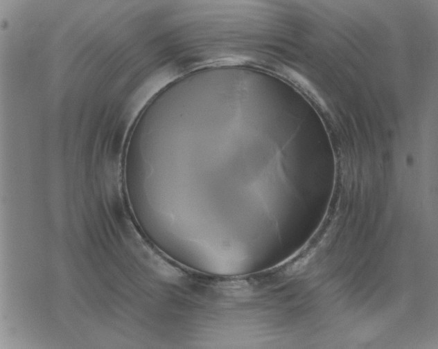 X0000076331186200610061428
