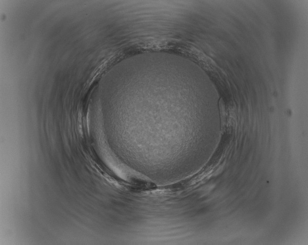 X0000076331202200610061427