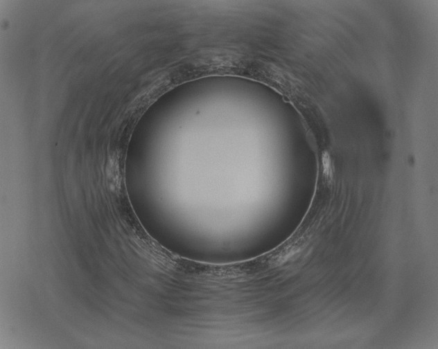 X0000076331203200610061427