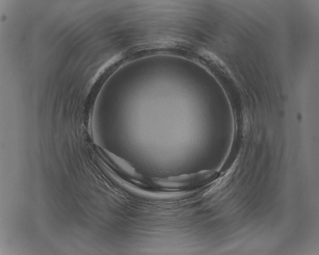 X0000076331210200610061427
