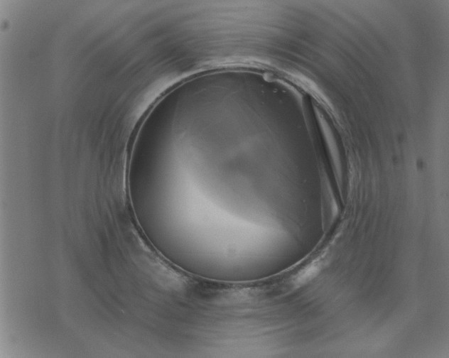 X0000076331228200610061427