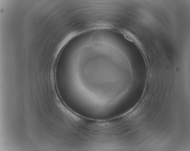 X0000076331243200610061427