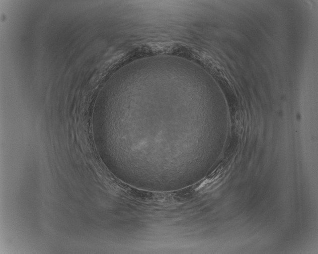 X0000076331249200610061427