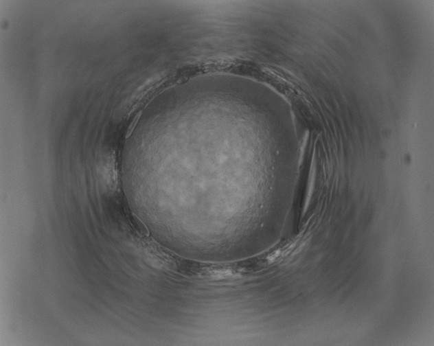 X0000076331252200610061427