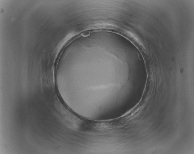 X0000076331275200610061426