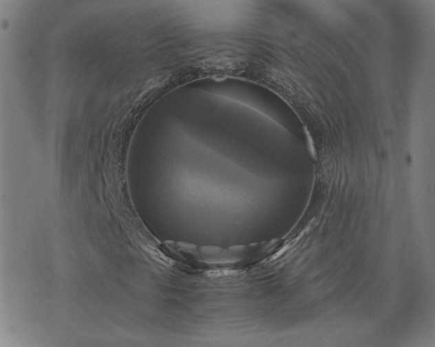 X0000076331297200610061425