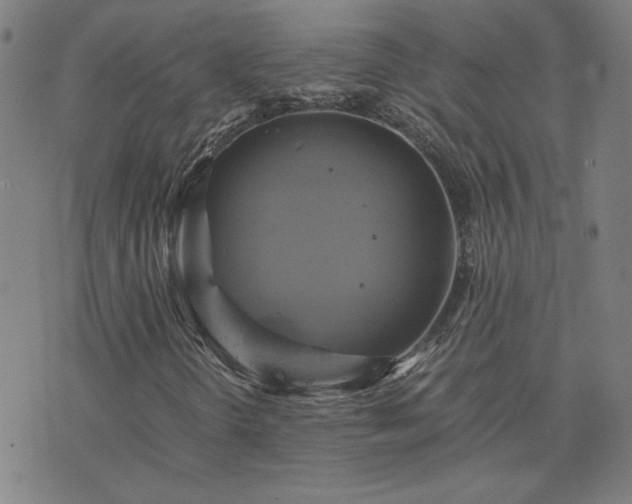 X0000076331298200610061425