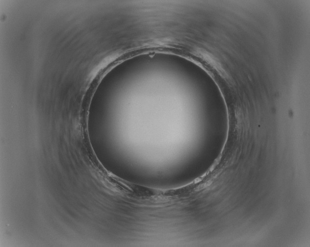 X0000076331308200610061425