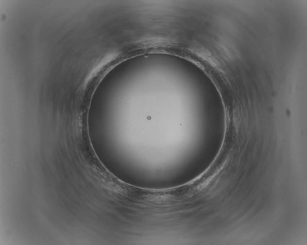 X0000076331309200610061425