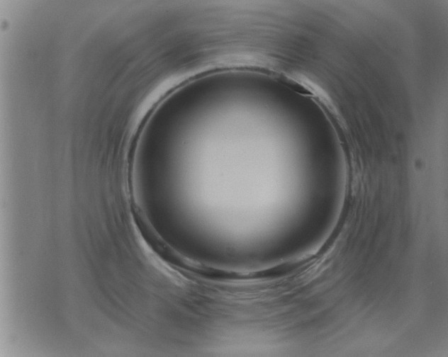 X0000076331342200610061426