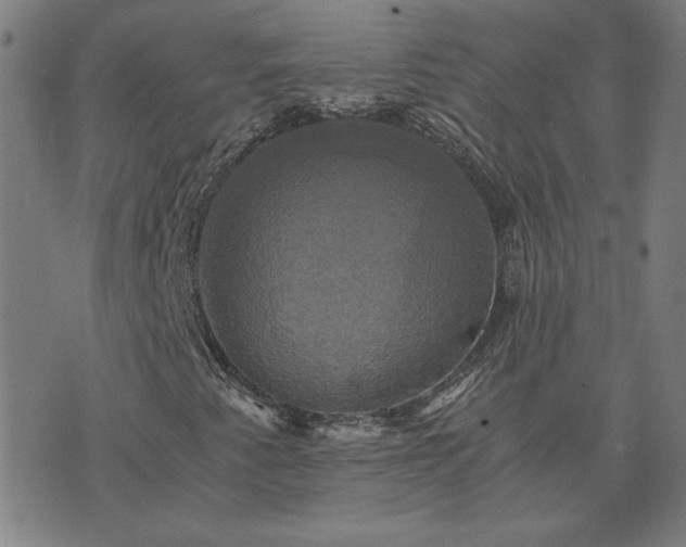 X0000076331345200610061425