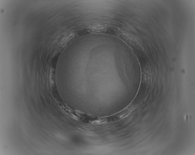 X0000076331346200610061425