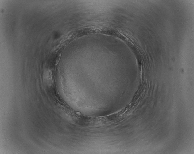 X0000076331347200610061425