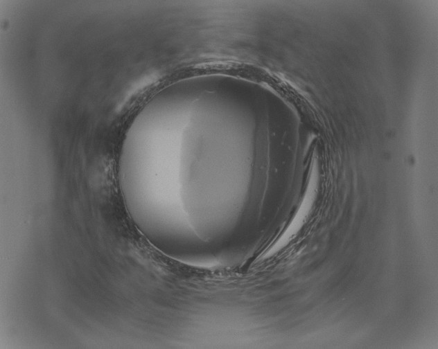 X0000076331351200610061425