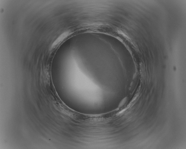 X0000076331354200610061425