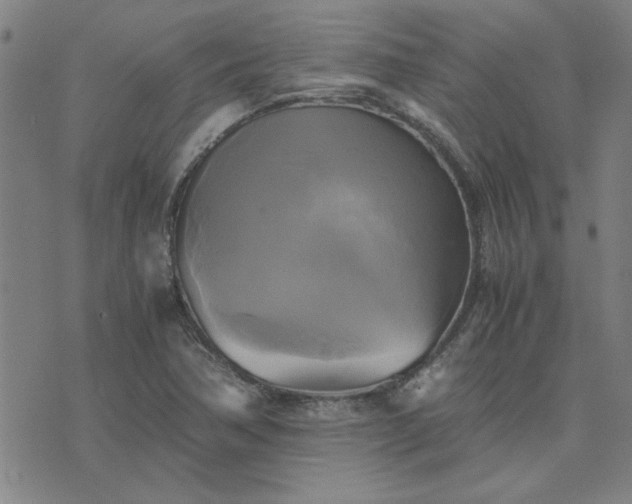 X0000076331362200610061425