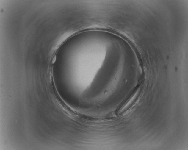 X0000076331367200610061425