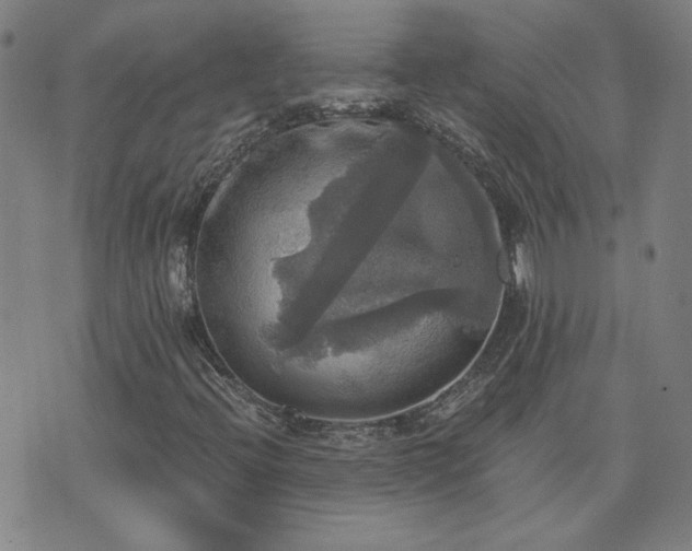 X0000076331396200610061424