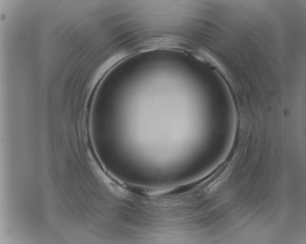 X0000076331434200610061424