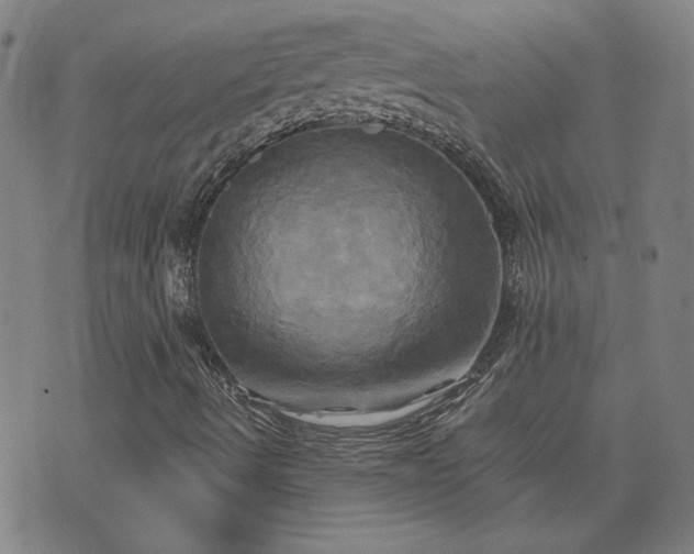 X0000076331490200610061422
