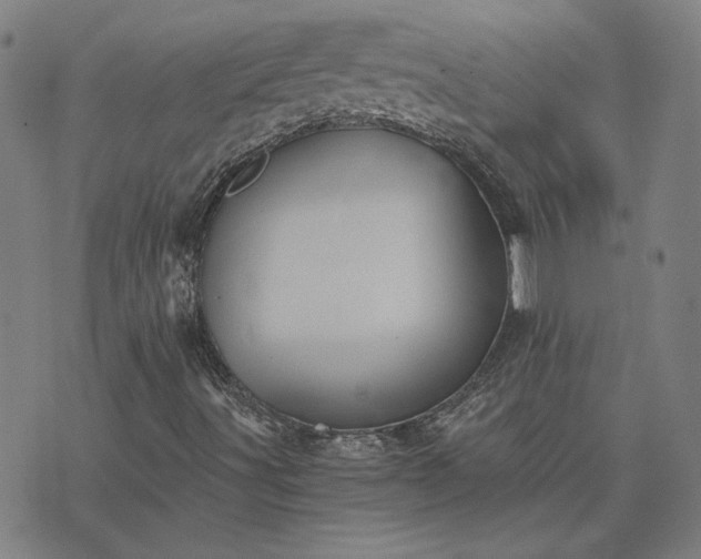 X0000076331491200610061422