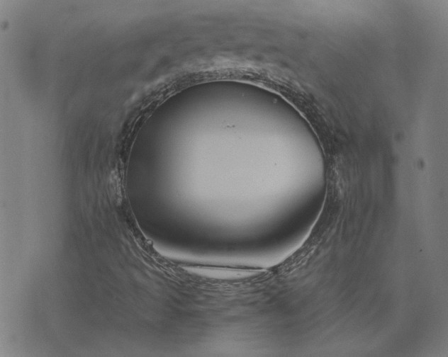 X0000076331493200610061422