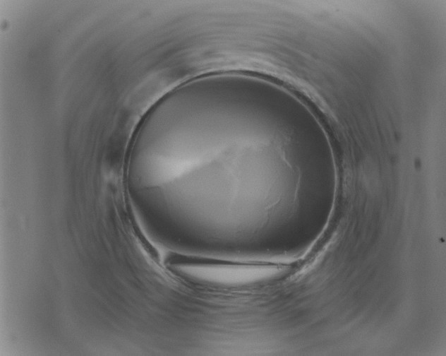 X0000076331513200610061422