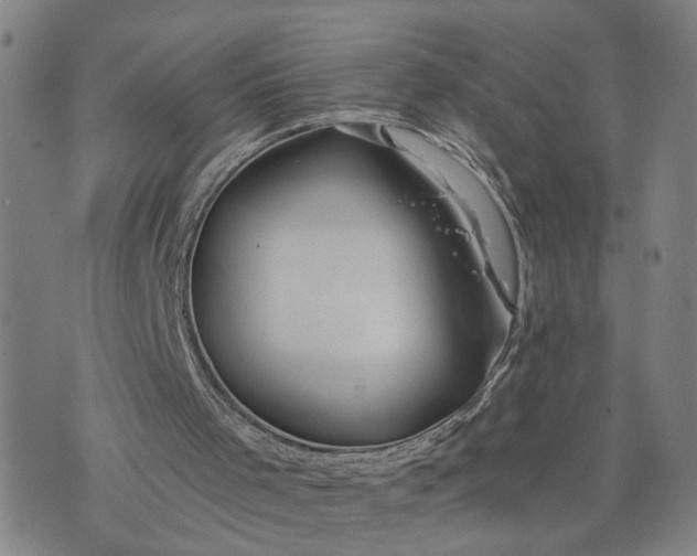 X0000076330001200610161720