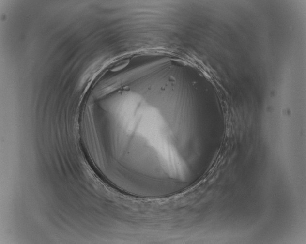 X0000076330002200610161720