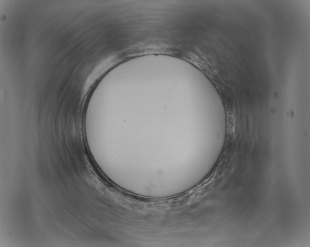 X0000076330004200610161720