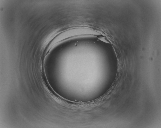 X0000076330005200610161720