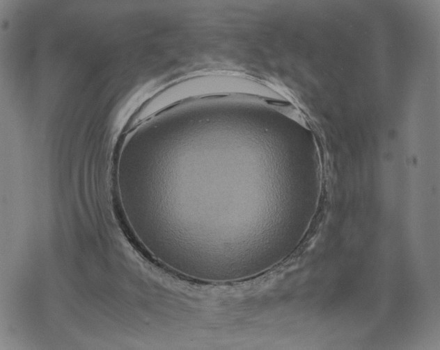 X0000076330007200610161720