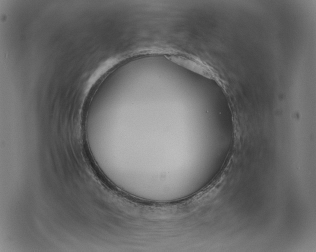 X0000076330008200610161720