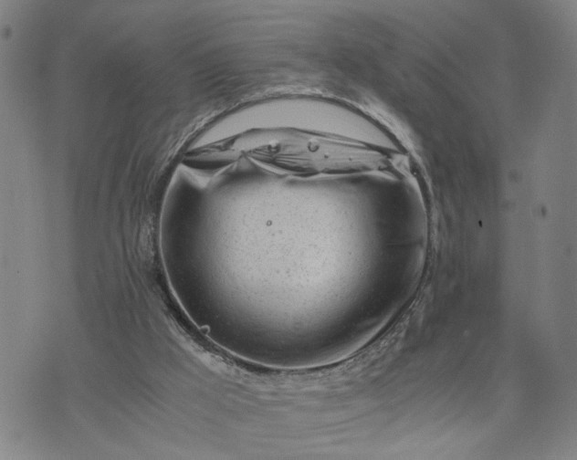 X0000076330009200610161720