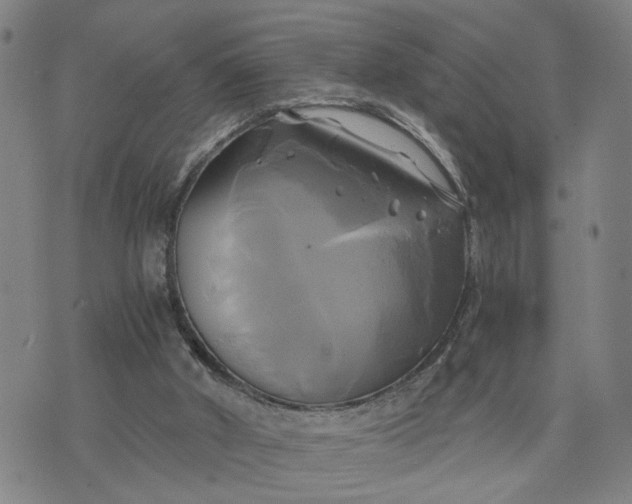 X0000076330010200610161720