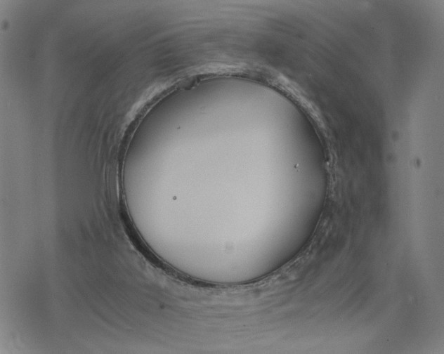 X0000076330011200610161720